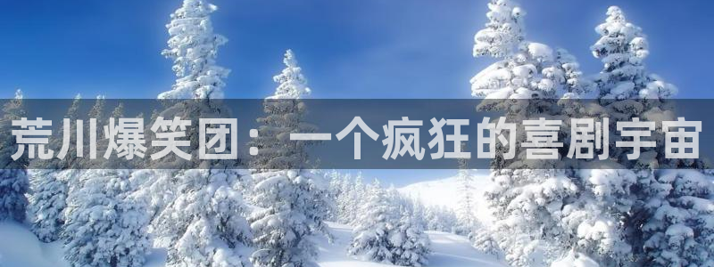 腐漫画网站：荒川爆笑团：一个疯狂的喜剧宇宙