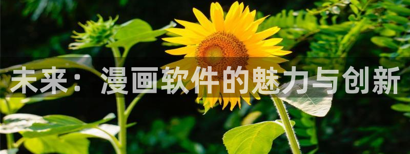 腐漫画网下载：未来：漫画软件的魅力与创新